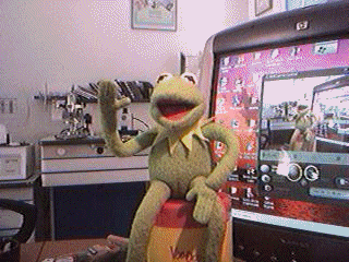 FROGGY